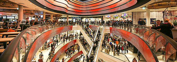 Image across the entire width