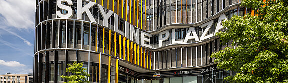 Bild über die gesamte Breite