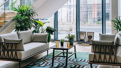 A bright, modern room fitted-out with a carpet and seating