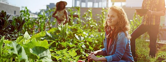 Eine Frau kniet am Gemüsebeet mit einem Korb voller frischem Gemüse.