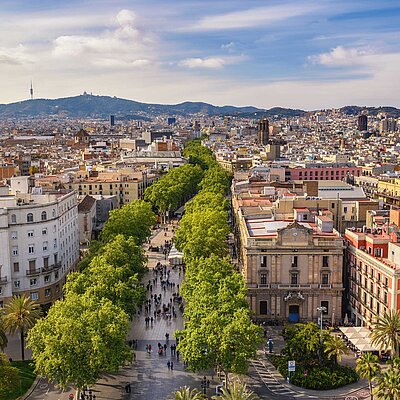 Blick über die Metropole Barcelona, Spanien mit mediterranen Häusern und einer Allee mit Bäumen.