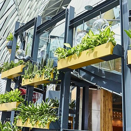 View of the catering area in the MyZeil shopping centre, which is decorated with many plants.