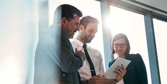 Developer mit Immobilien-Dienstleistungen