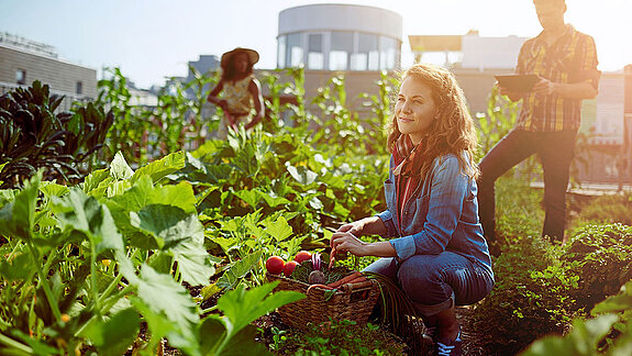 3. Nachhaltigkeit rückt in den Fokus
